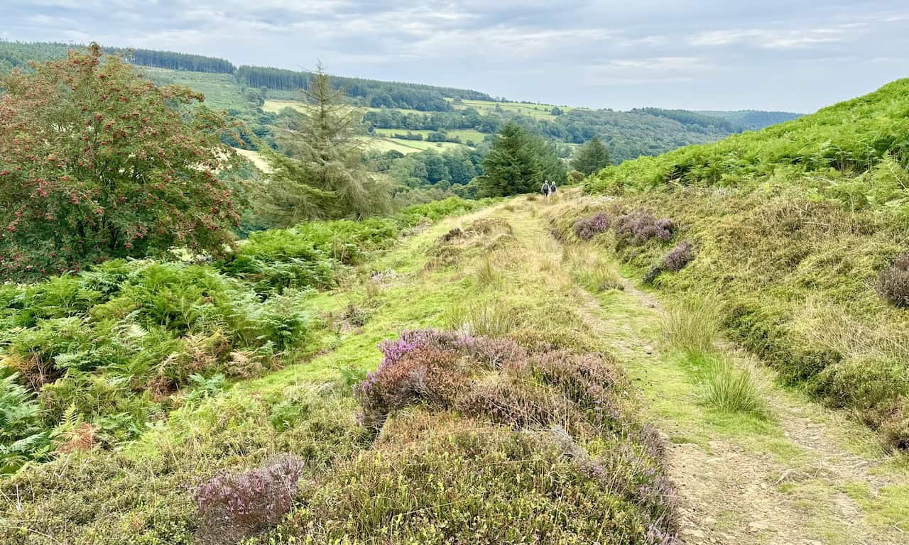 Path near Hollins Farm with views of the southern Rosedale valley from the north-eastern edge of Spaunton Moor.
