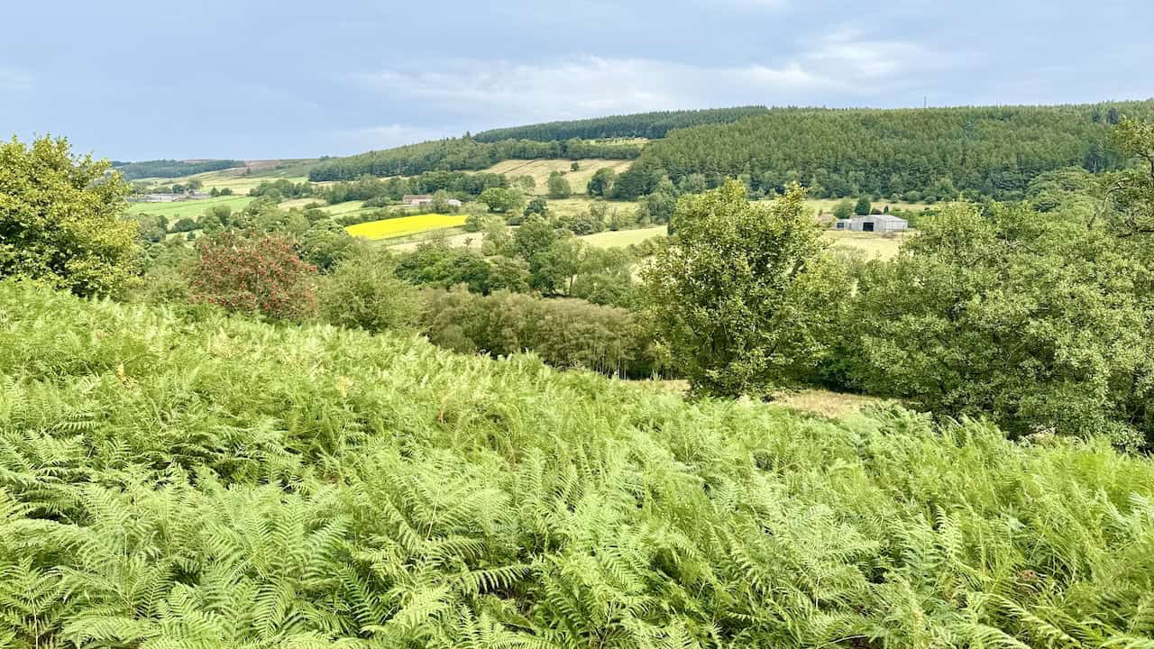 Expansive views across the Rosedale valley while walking along the path.
