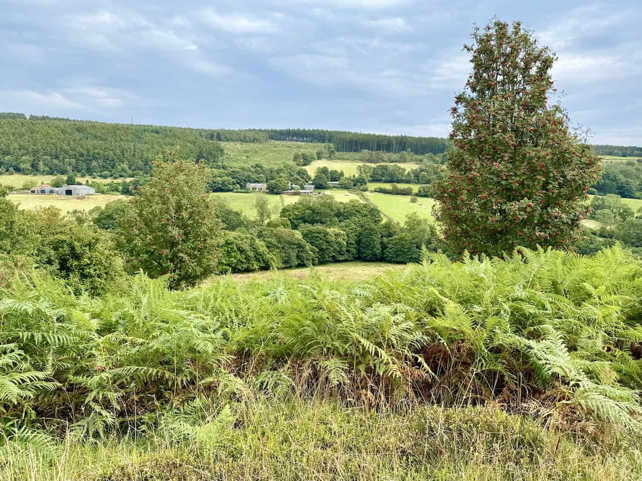 Expansive views across the Rosedale valley while walking along the path.
