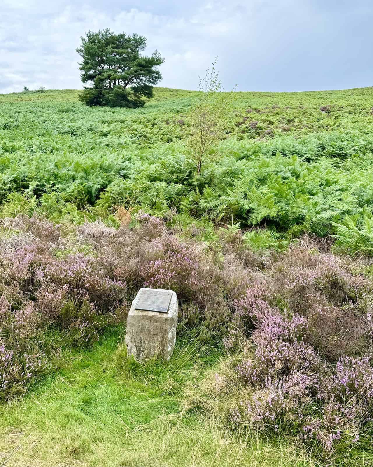 Marker stone with a plaque titled ‘Spaunton Estate – Traces of a Bygone Industry’ near Scugdale.
