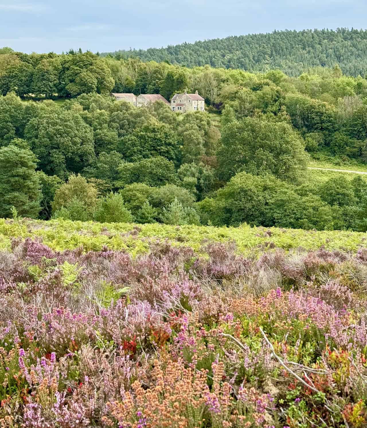 View of Hartoft Bridge Farm nestled among trees, looking east from the path during the Rosedale Abbey walk.
