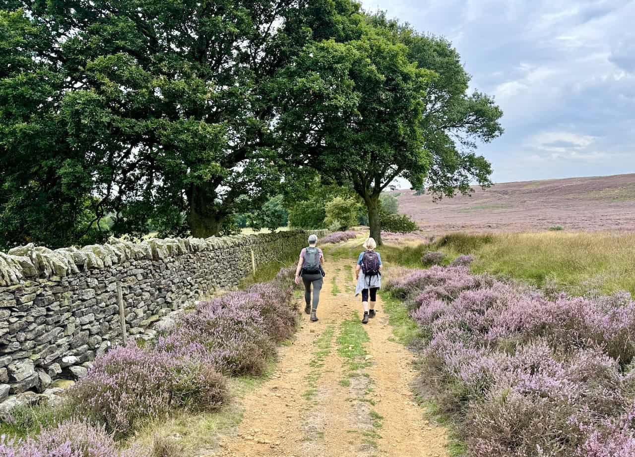 Wide path alongside a dry stone wall heading towards High Askew on the Rosedale Abbey walk.
