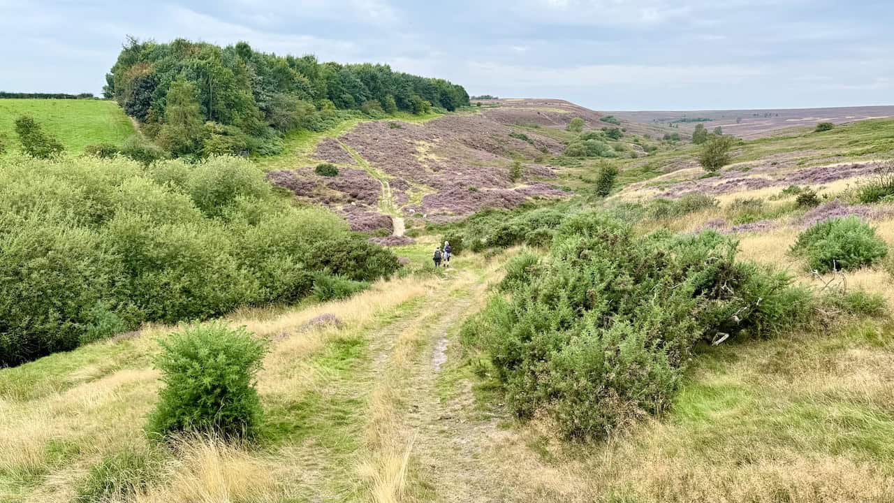 Ford crossing Tranmire Beck in a shallow valley, with the path climbing back up the hillside on the Rosedale Abbey walk.
