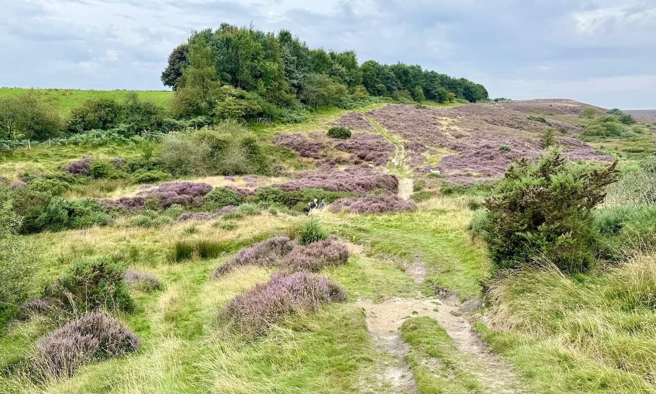 Ford crossing Tranmire Beck in a shallow valley, with the path climbing back up the hillside on the Rosedale Abbey walk.
