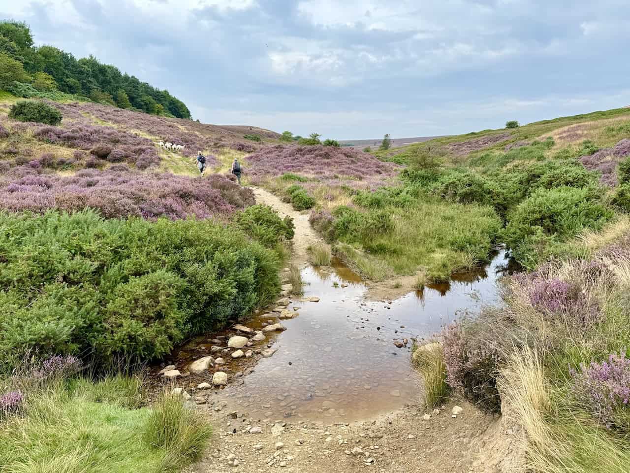 Ford crossing Tranmire Beck in a shallow valley, with the path climbing back up the hillside on the Rosedale Abbey walk.
